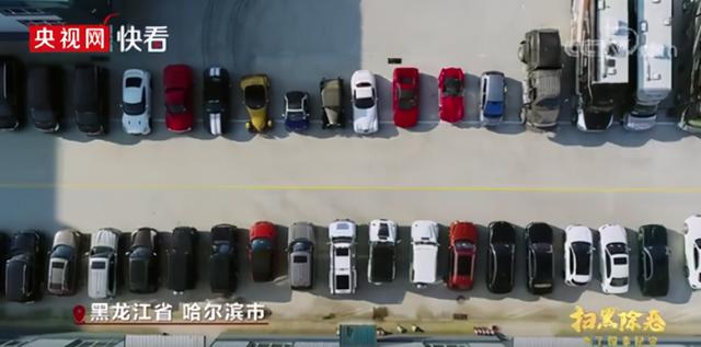 哈尔滨"电老虎"拥百辆豪车,房产69套,黑恶势力卷宗铺满5个篮球场