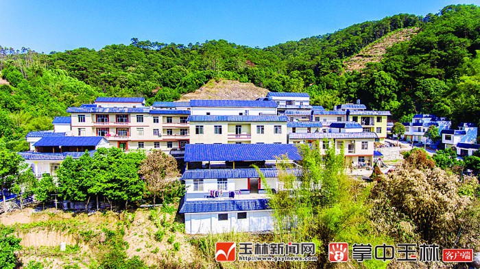 容县提升"两高两道"沿线乡村风貌,塑造生态宜居美丽乡村