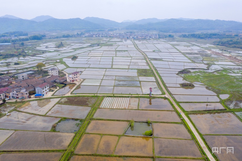 「春日里的中国」田园阡陌纵横 水田如镜