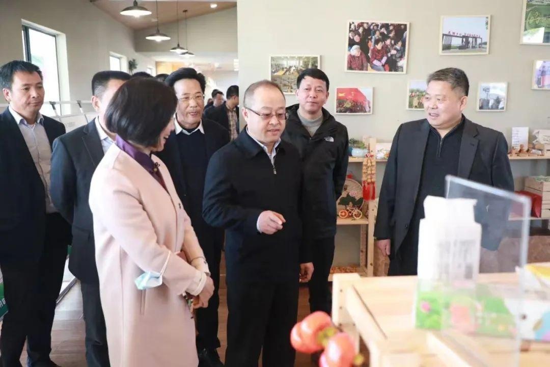 单少军同志调研浦东市级乡村振兴示范村创建工作