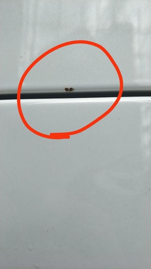 判断露底漆还是露铁皮