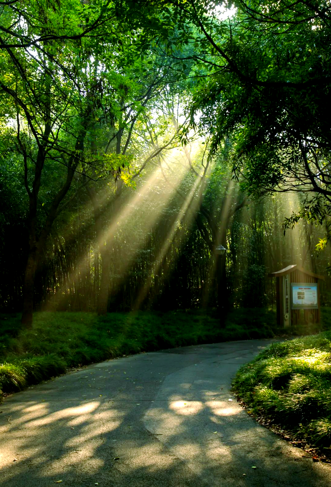 扬州秋日晨光中的多样美景