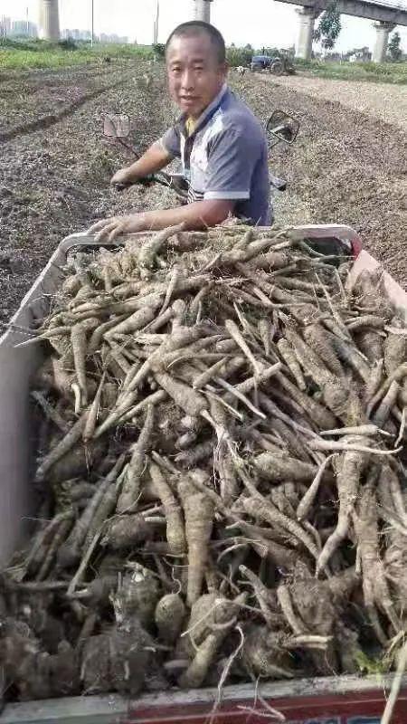 ����ũ������ΪϽ��Ͷ�Ŵ����ʽ� 17.26��Ԫ ���ڻ�ˮ������������ҵ��չ