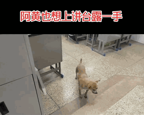 "下面我简单汪两句……"