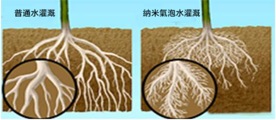 納米氣泡在生態農業中的應用