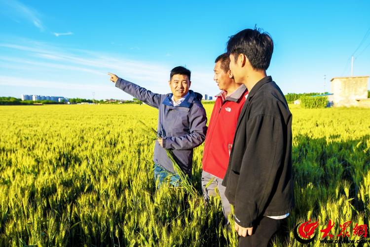 山东省乡村振兴突出贡献奖先进个人——马建海