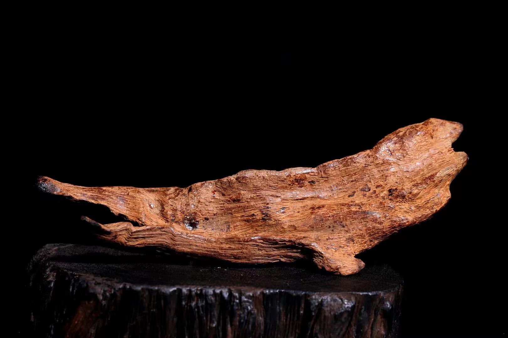 沉香结缘学习需不需要先建立样本库