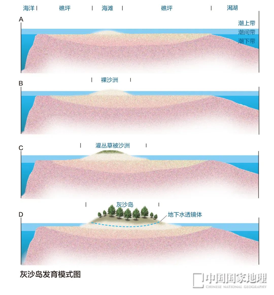 这里只对中国游客开放