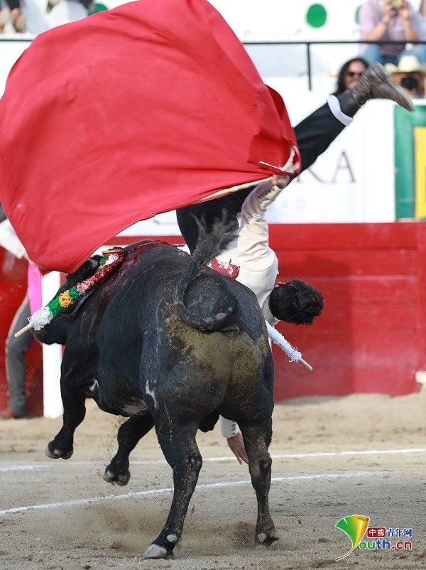 墨西哥莱昂举办斗牛大赛 上演华丽决斗