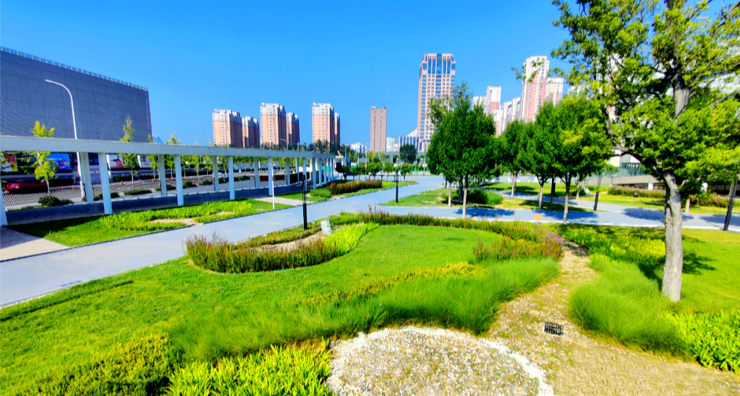 潍坊海绵城市建设:北方缺水城市的绿色转型范例