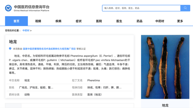 蚯蚓干价格暴涨,专家:应进行产业化,规模化养殖