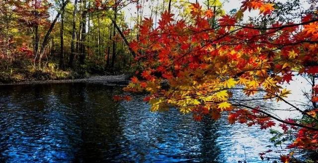 错过实在太可惜,"七彩霞衣"来相见!