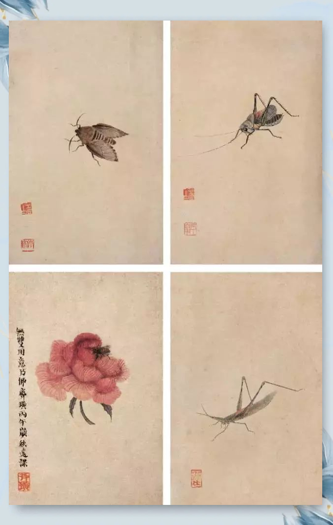 齐白石画虫:为众多生灵立传,展现昆虫世界之美
