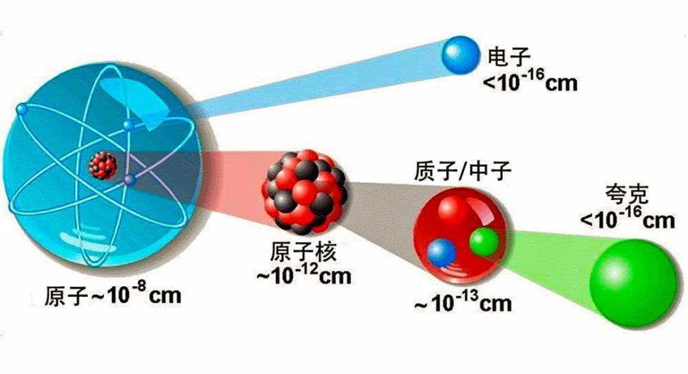 中子表达式图片