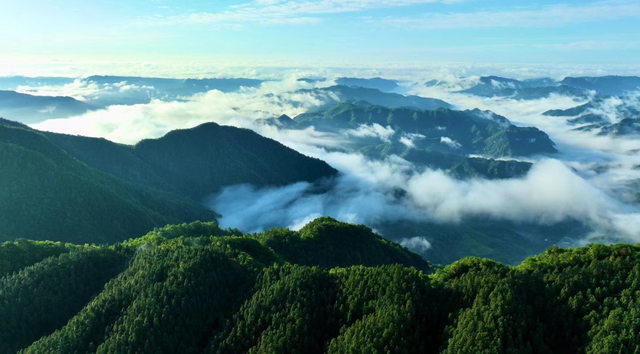 张家界云海丨奔赴一场高山与云海相拥的浪漫