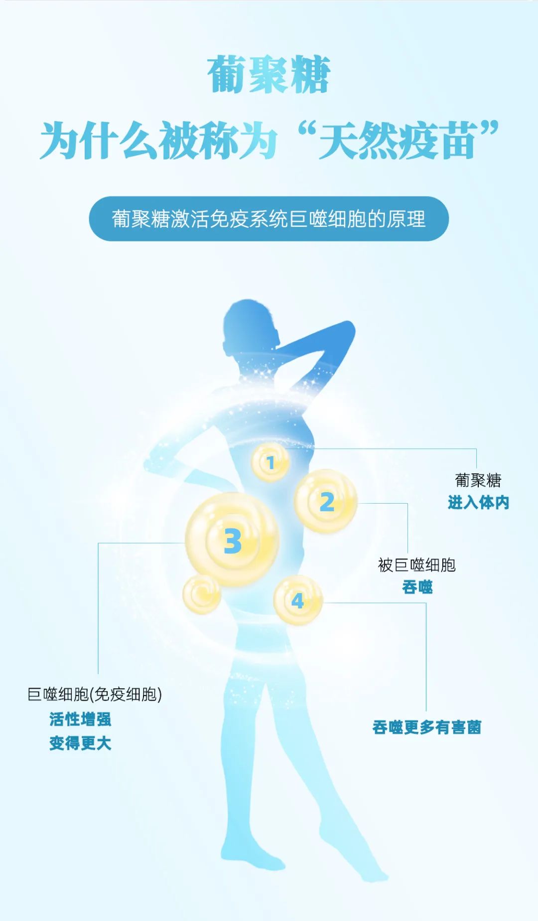 "免疫急先锋"β-葡聚糖|疫情全面开放,免疫力是最强防线!