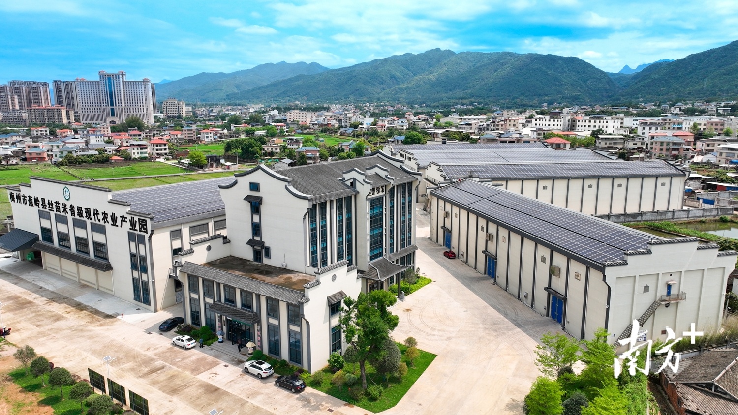帮扶新力量|蕉岭蕉城镇:以农业产业园为载体,善做产业振兴"加法"