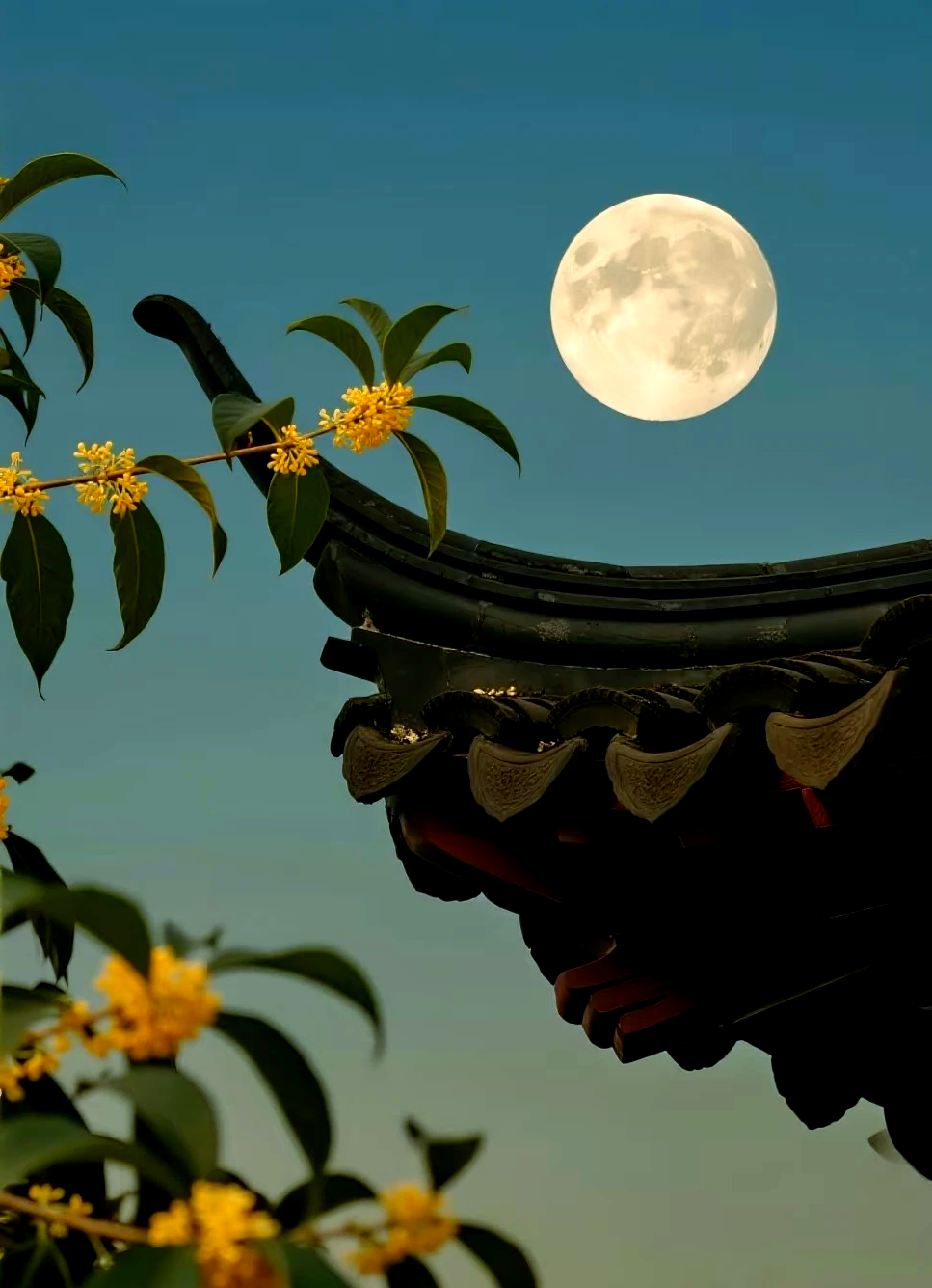 桂花与中秋:月亮节庆的文化之旅