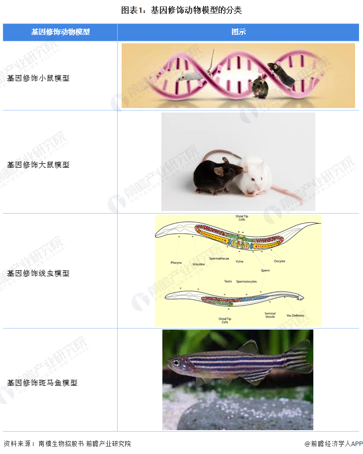 2022年中国基因修饰动物模型行业市场现状及竞争格局分析 以crispr和
