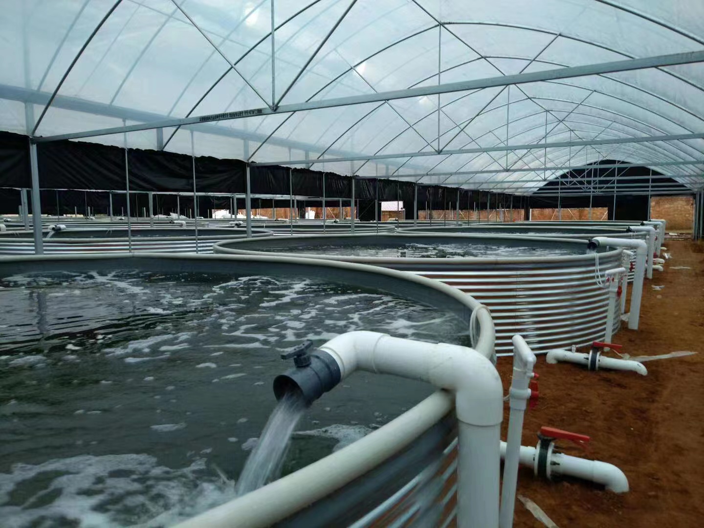 长辰渔业循环水养殖模式解决传统养殖模式中存在的隐患