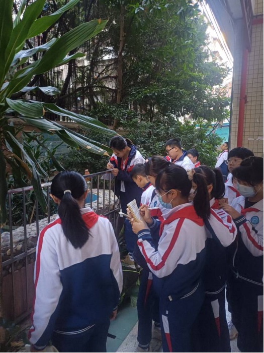 "双减"政策下,三元坊小学的孩子们都在玩这些