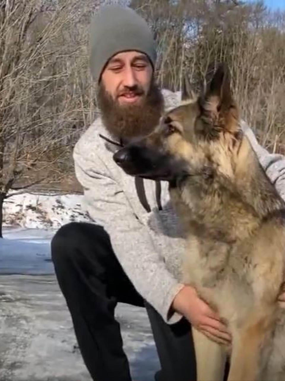 真实版灵犬莱西!聪明狗暗夜引路 救出车祸饲主