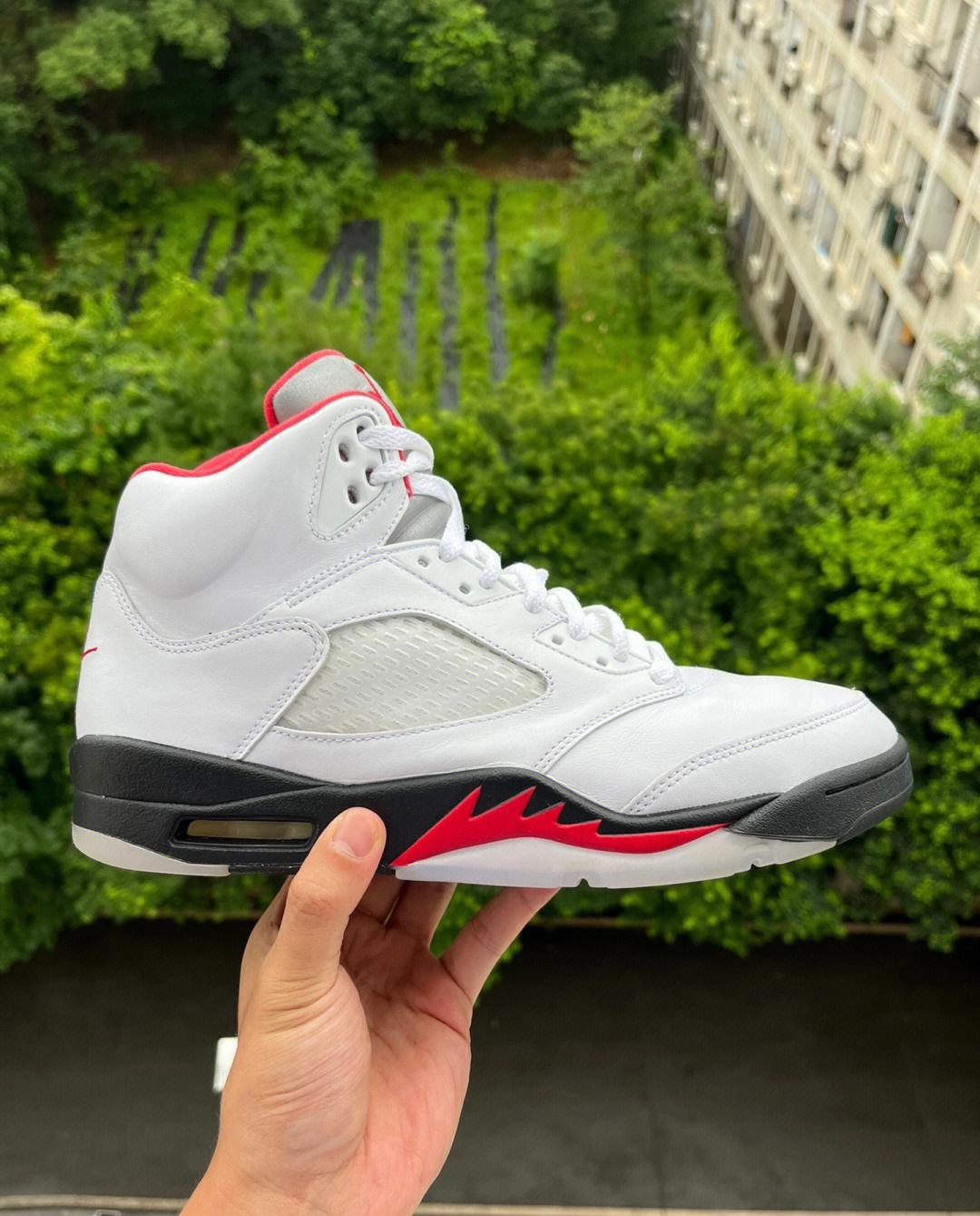 aj5流川枫多少钱,aj5是篮球鞋吗