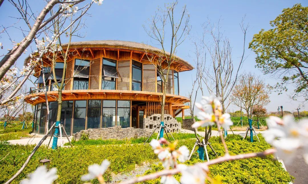 【探索】庄行郊野公园开园,四大游憩区域一起来看看