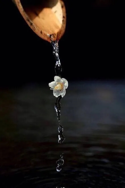 这6首宋词,莫名能让人沉心静气,仔细读来,宛若身在世外