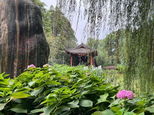 蘇園文化考察眉山行:(一)蘇轍公園——照水菡萏細細香