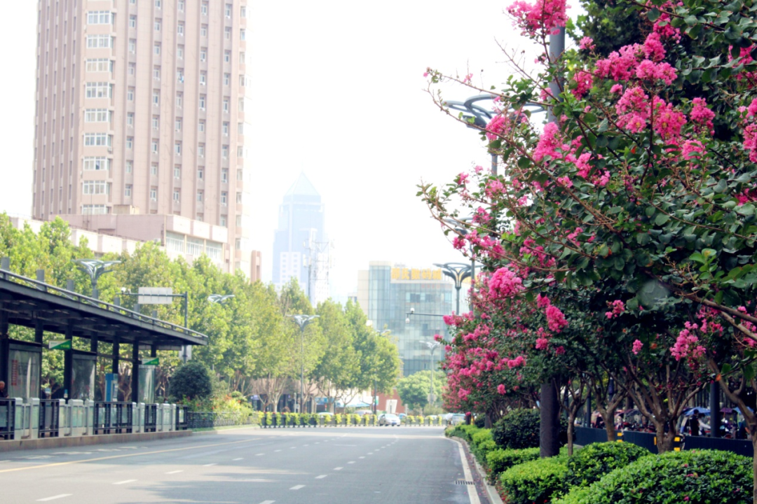 优秀！我区这项考核成绩排名全市第一