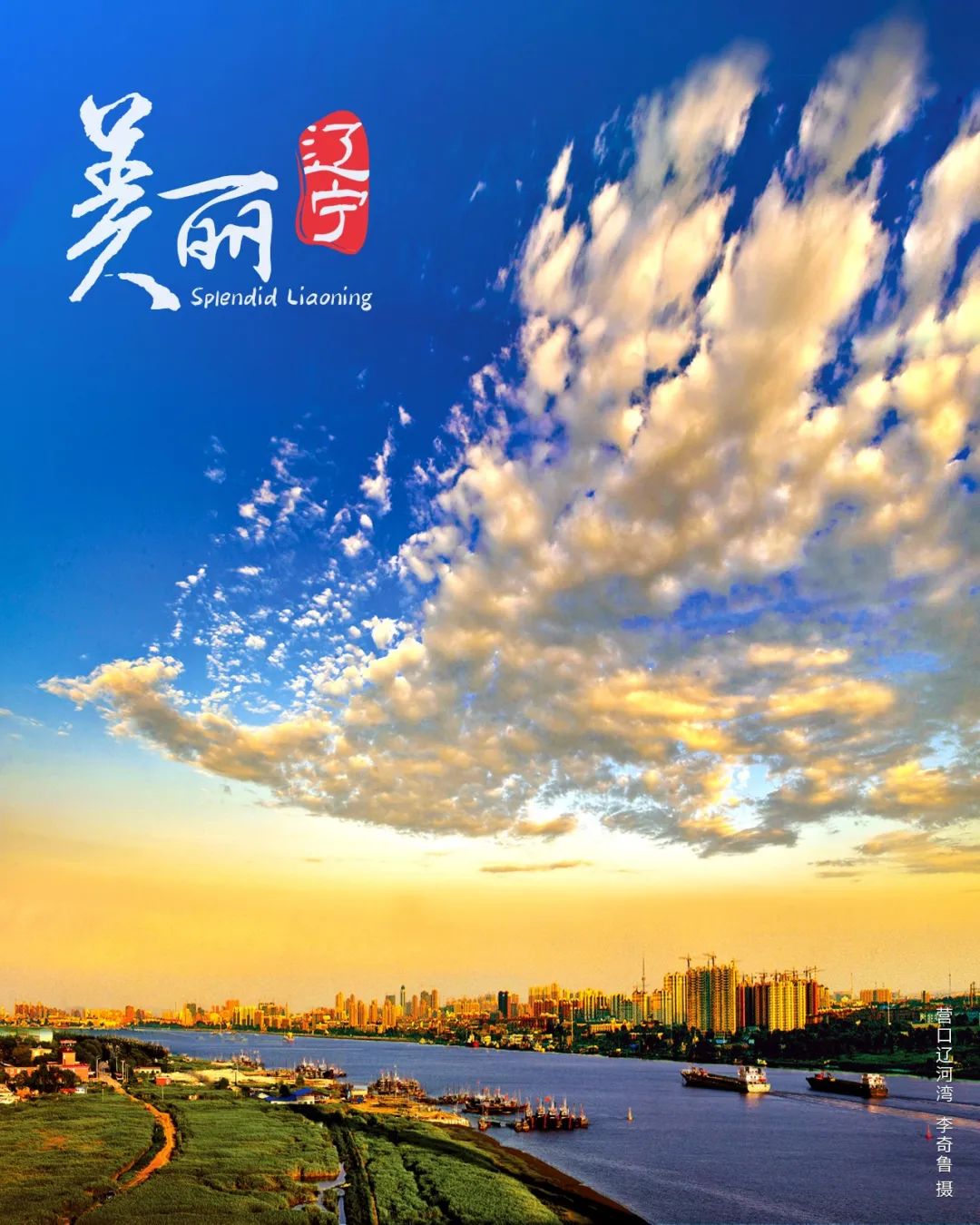 美丽辽宁公益宣传海报