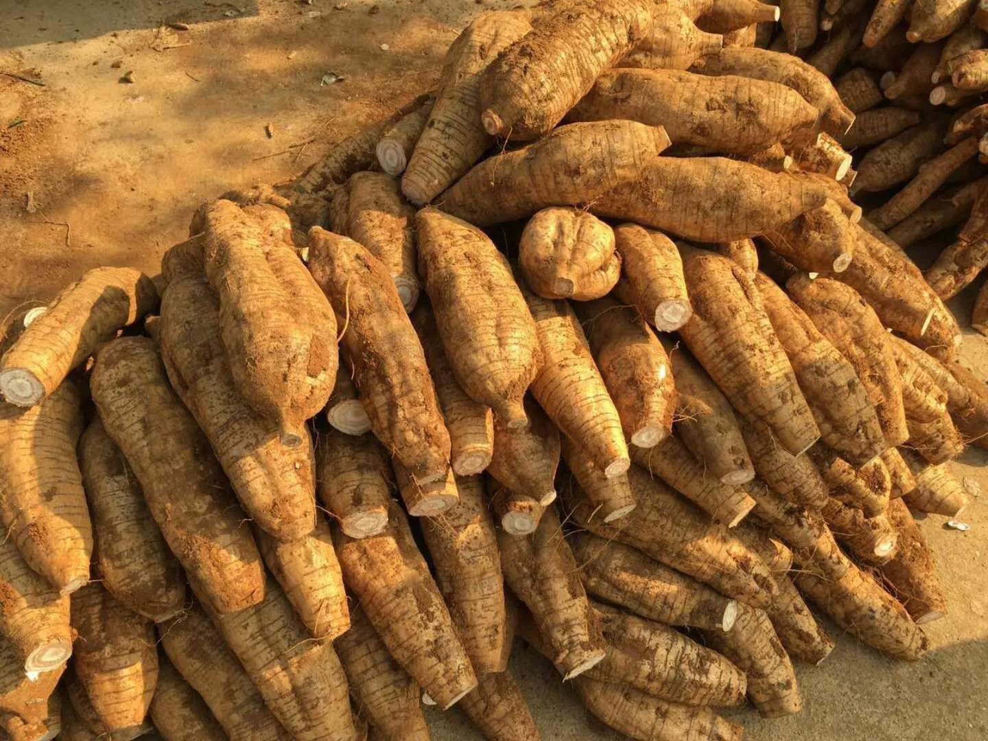 用中医的思路讲解如何调理颈椎问题,值得每一个中医人学习