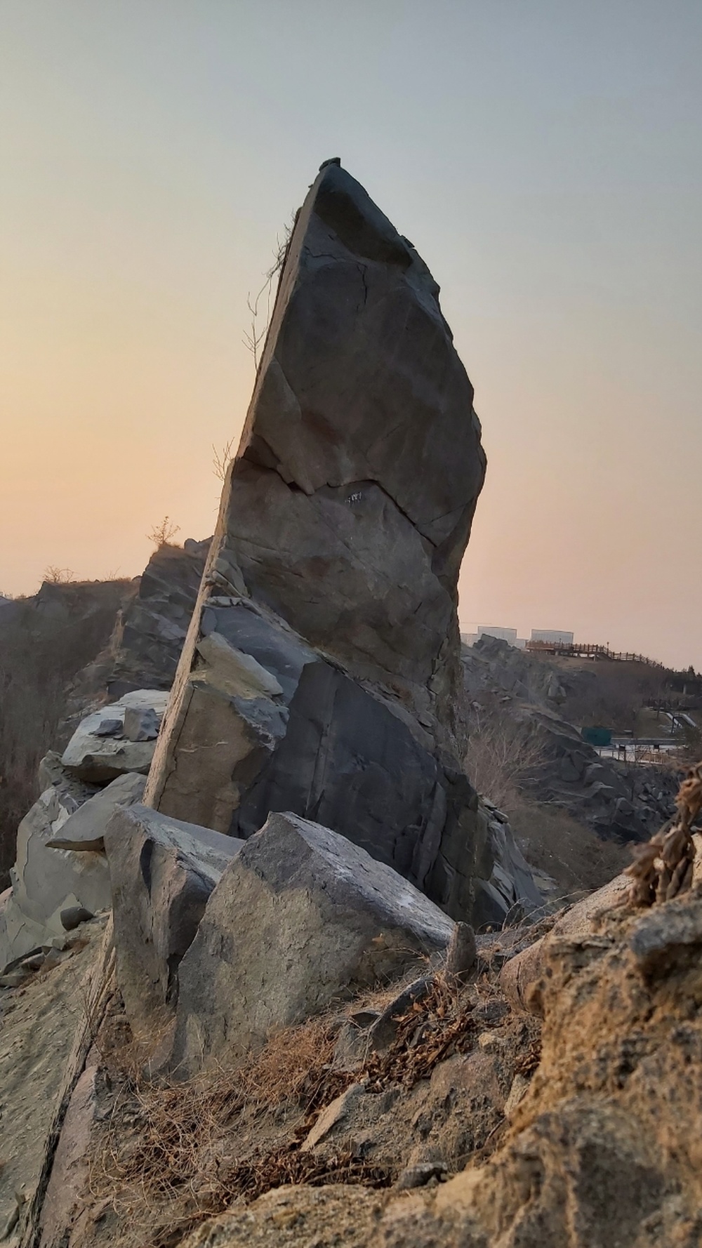 长啸一声卧牛山