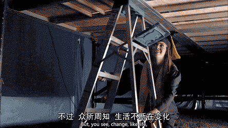 以为这只猫能跳过来呢 第3张