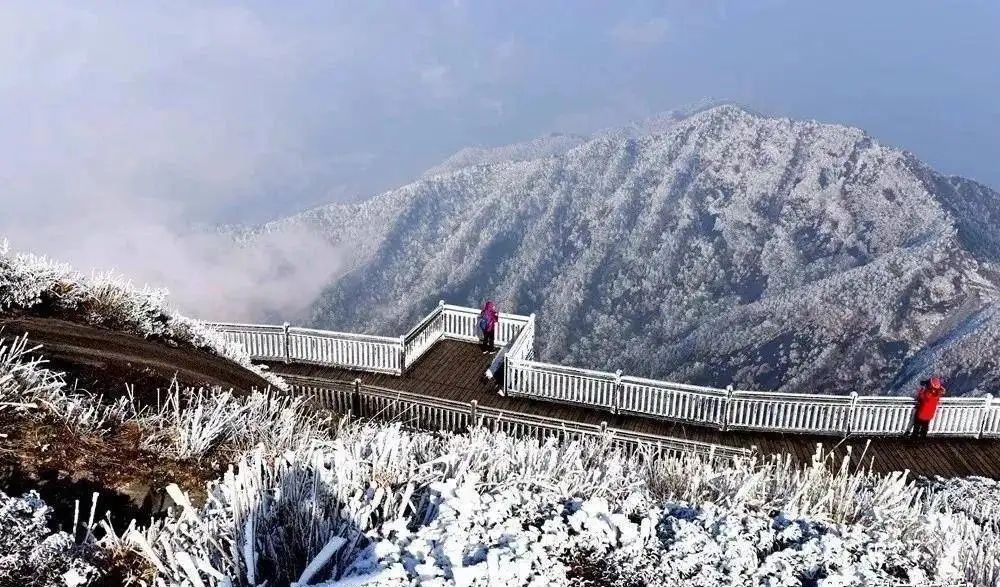 福建冬季旅游热门景点 金饶山旅游攻略 低音号导游