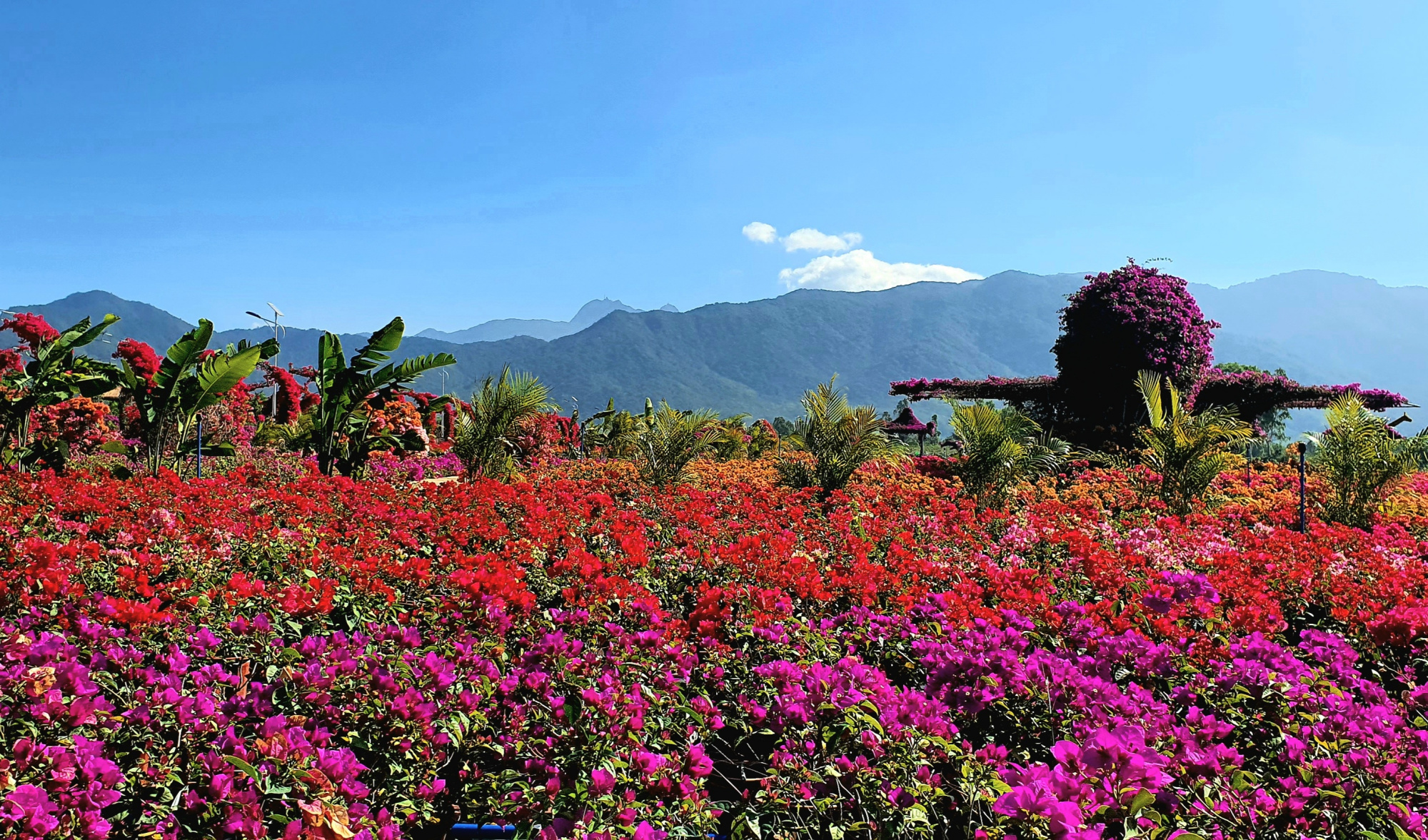 海南省东方市打造花梨谷文化旅游度假区