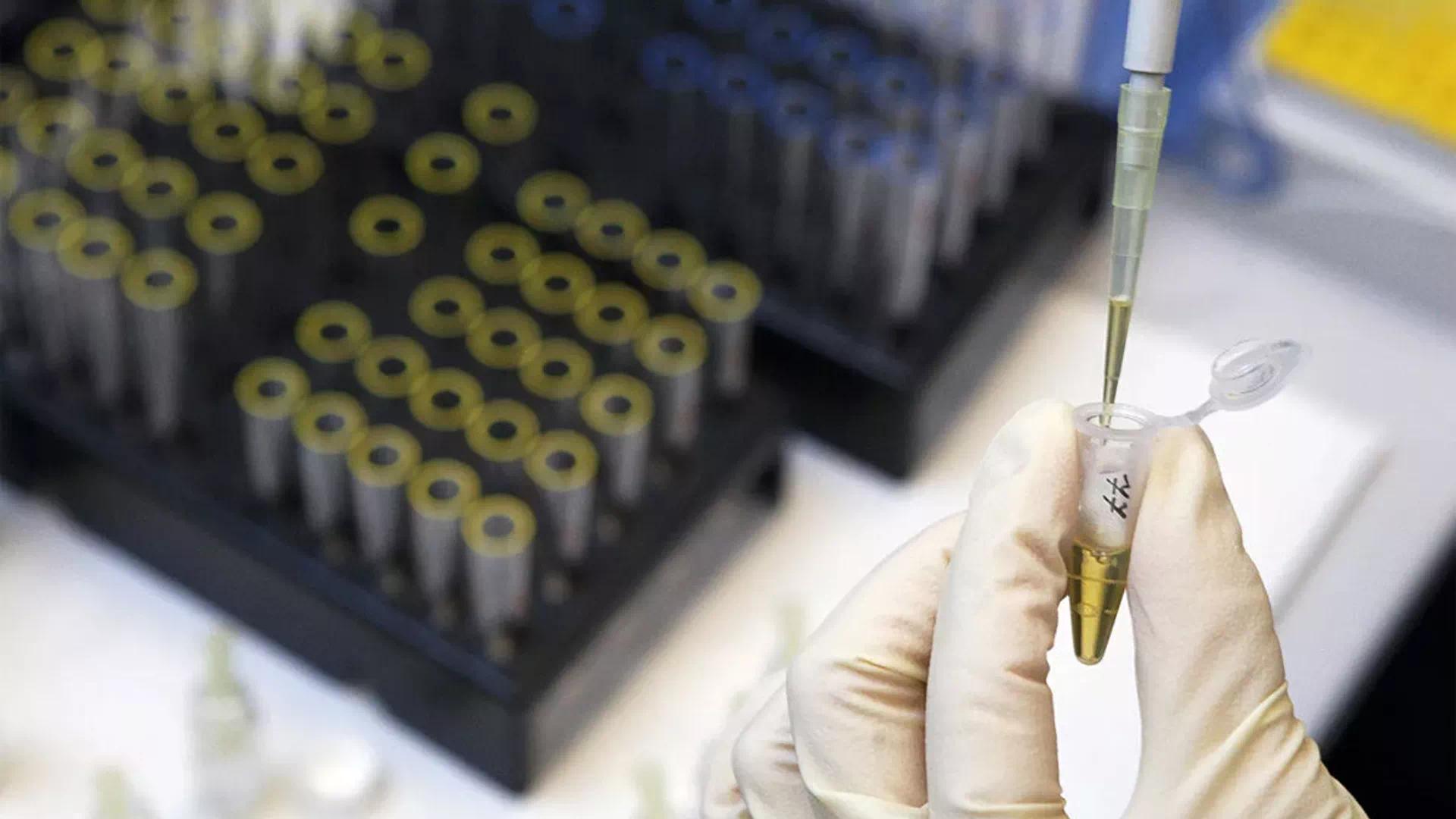 俄中科学家开发用于向癌细胞运送药物的尼龙纳米胶囊