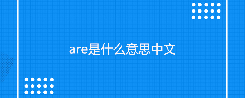 are是什么意思中文