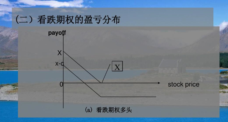 看跌期權和看漲期權是什麼意思