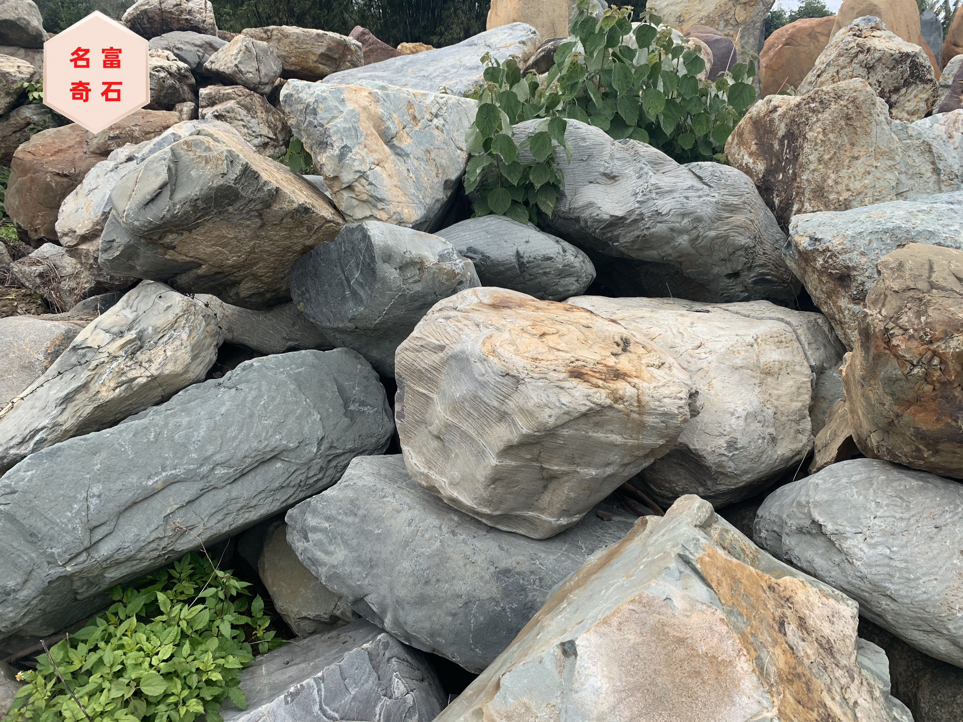 广东青石-园林景观石-青石的介绍