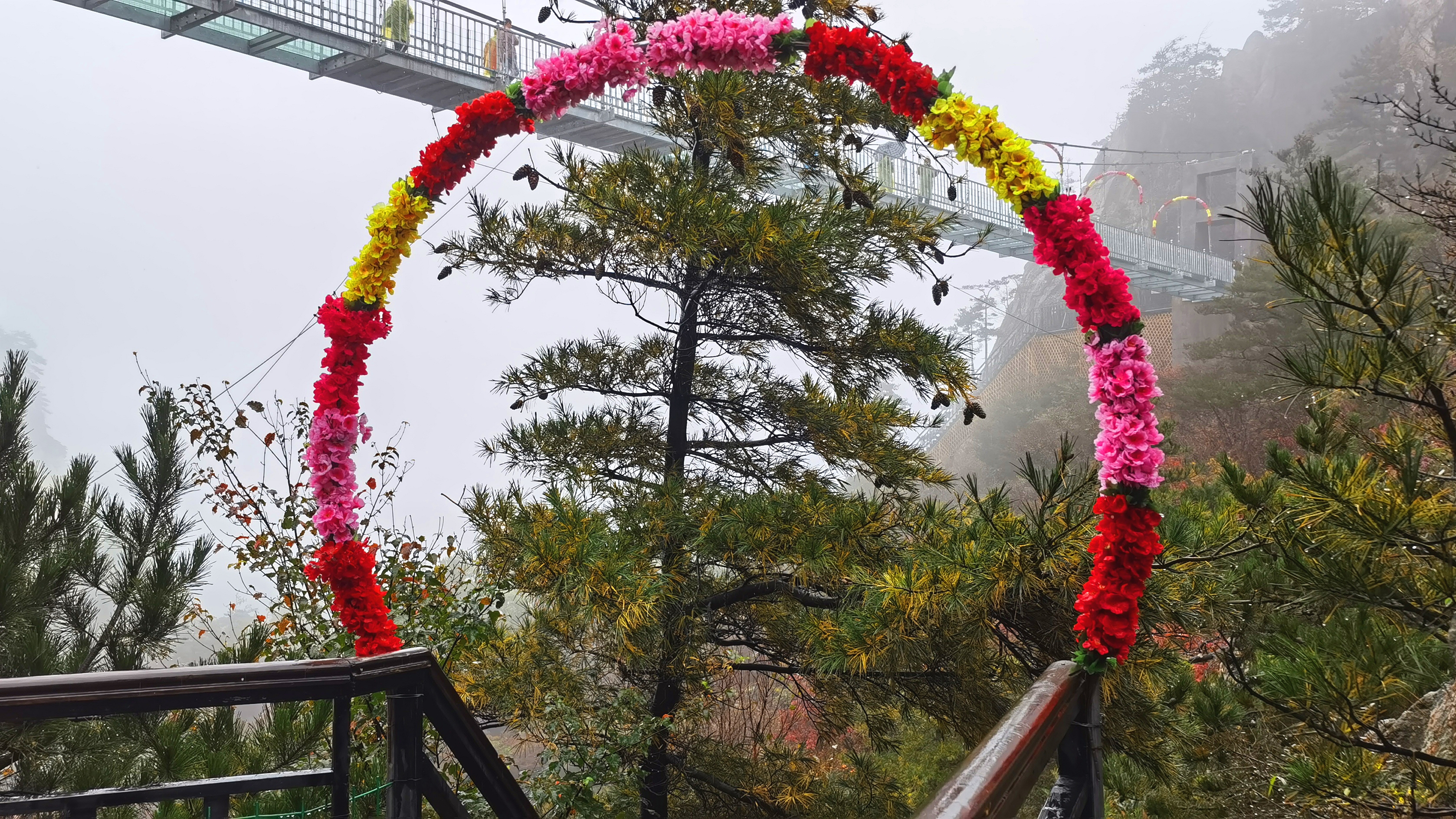 西峡老界岭风景区简介图片