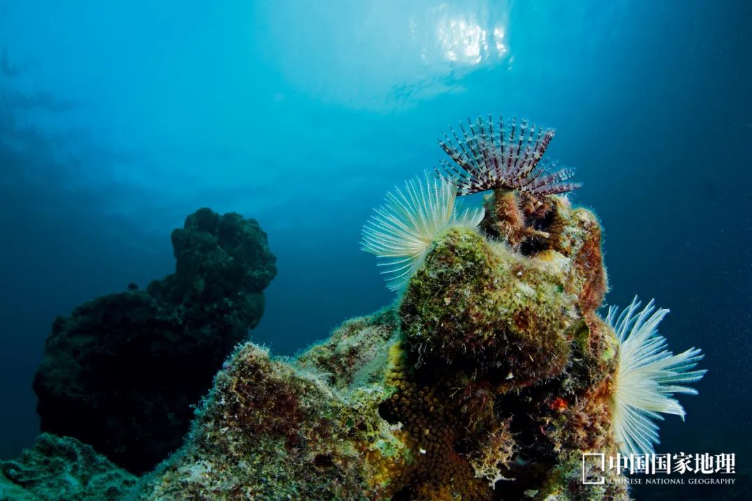 这里只对中国游客开放