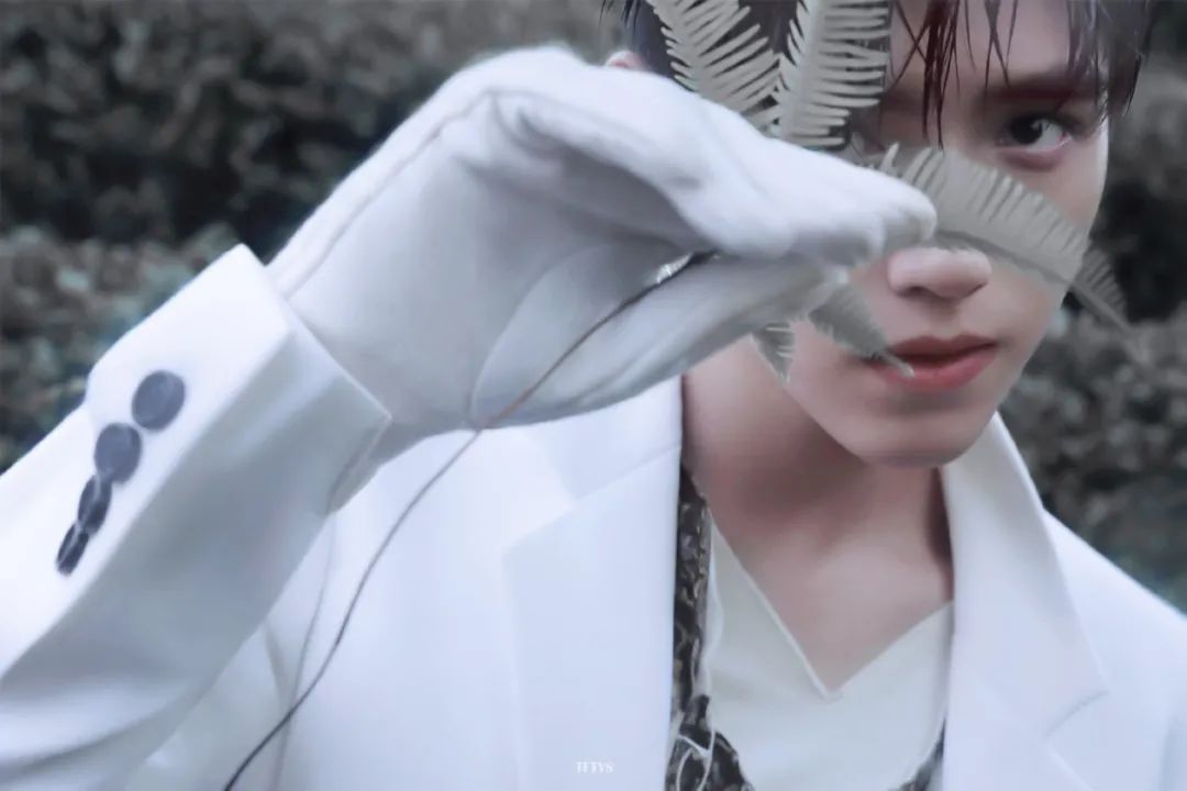 陈飞宇壁纸|花会沿路盛开,你以后的路也是