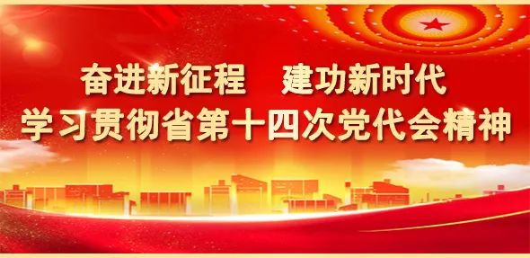 奋进新征程建功新时代学习贯彻省第十四次党代会精神深入学习笃行实做