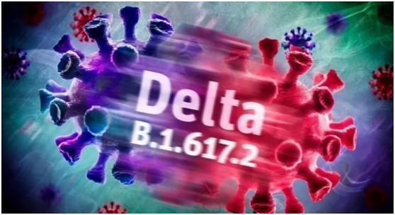 韩国首次报告“德尔塔+”毒株,传染性可能更强