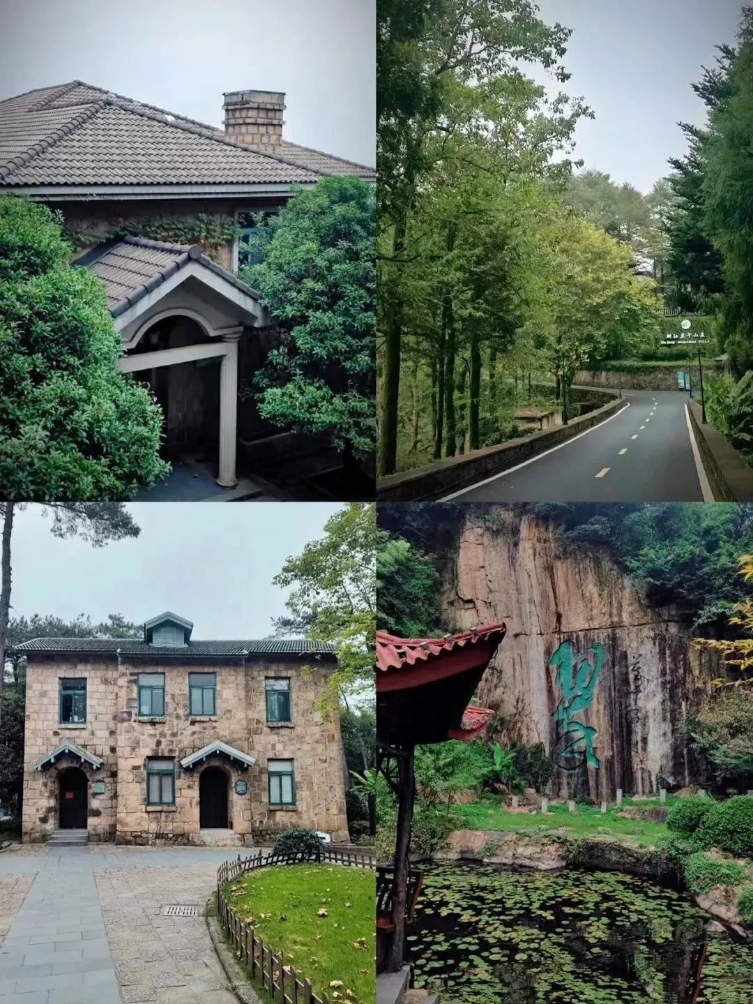 徒步莫干山,重走蒋公道,天然氧吧,林间养肺「漫步者旅行团建」