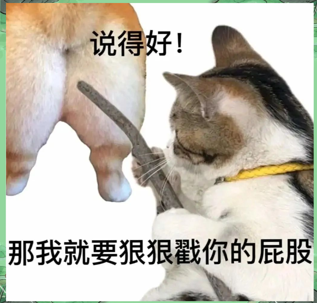 表情包大赏:搞笑,可爱,沙雕,你想要的这里全都有