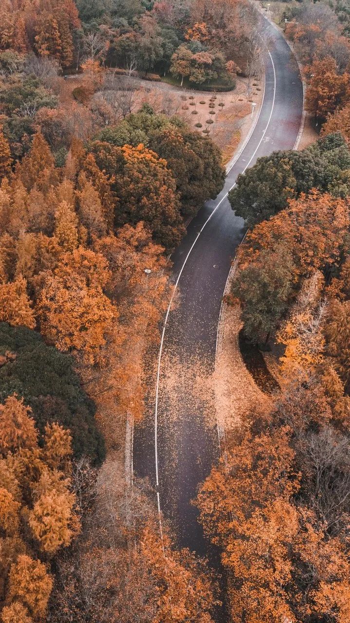 中国禾火口十图鉴