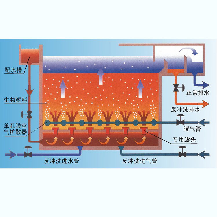 baf曝气生物滤池原理图图片